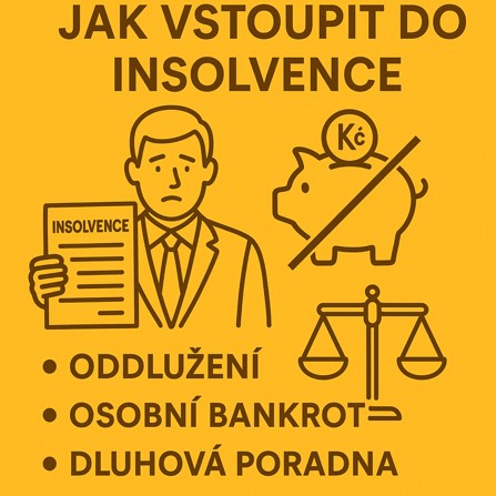 Jak vstoupit do insolvence